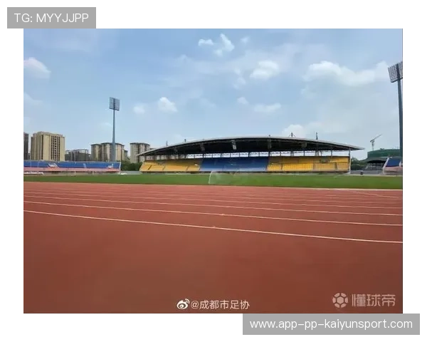 职业体育联盟对球场设施的统一标准与准入规则