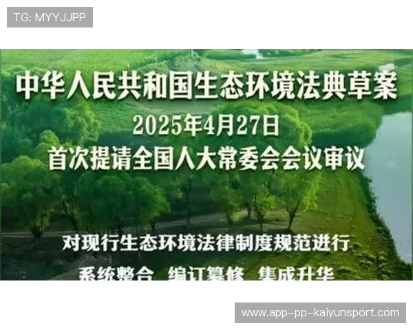 规模扩大生态持续完善（448 ）